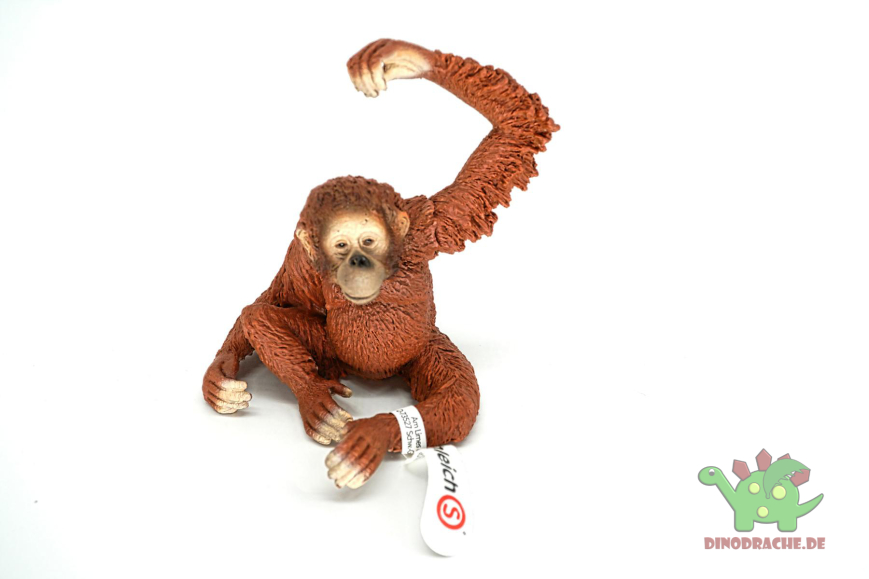Orang-Utan Bundle 14775 + 14776